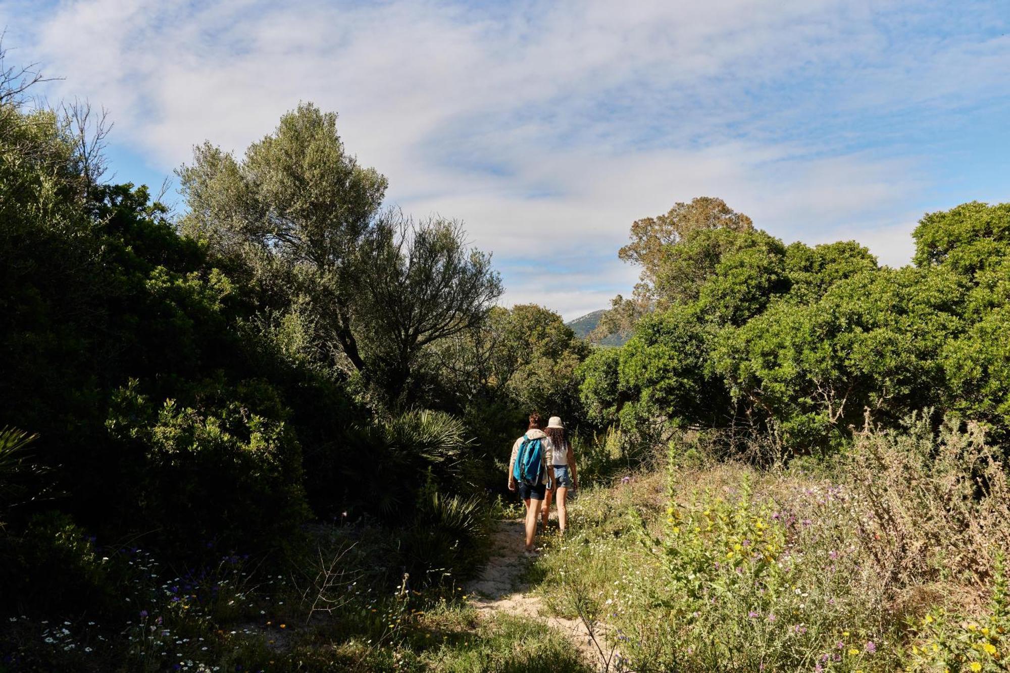 Taiga Tarifa Punta Paloma Otel Dış mekan fotoğraf