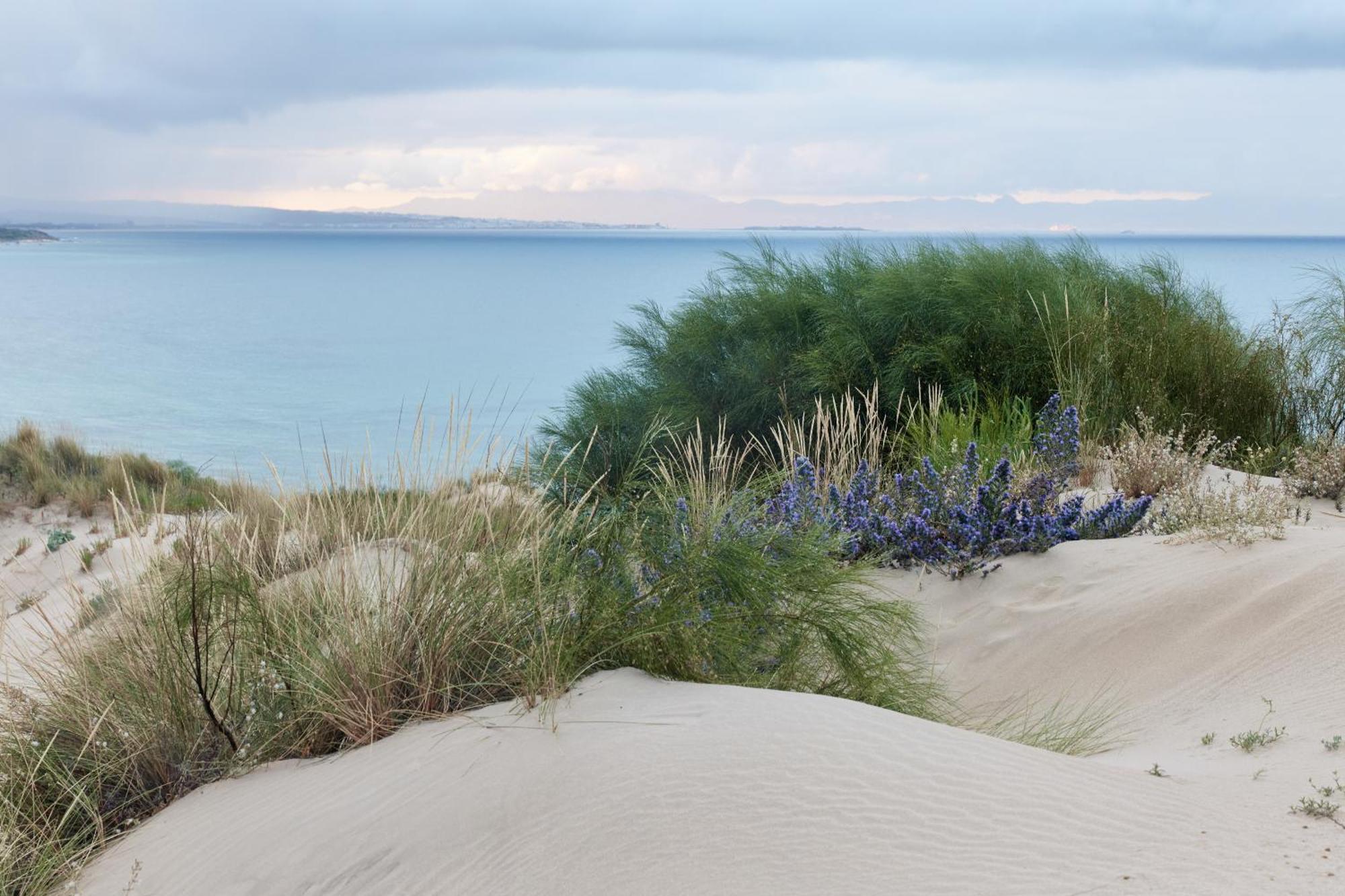 Taiga Tarifa Punta Paloma Otel Dış mekan fotoğraf
