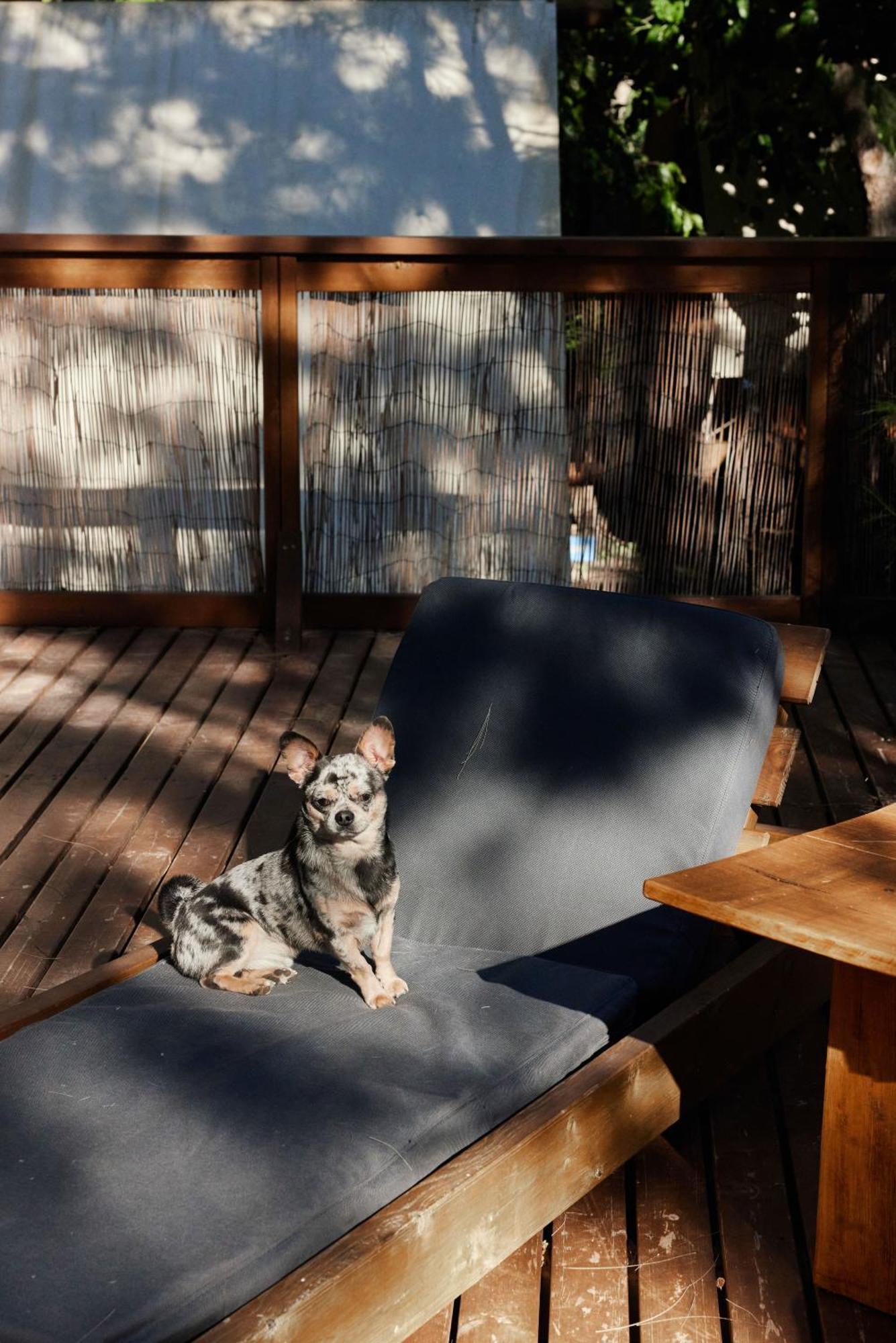 Taiga Tarifa Punta Paloma Otel Dış mekan fotoğraf