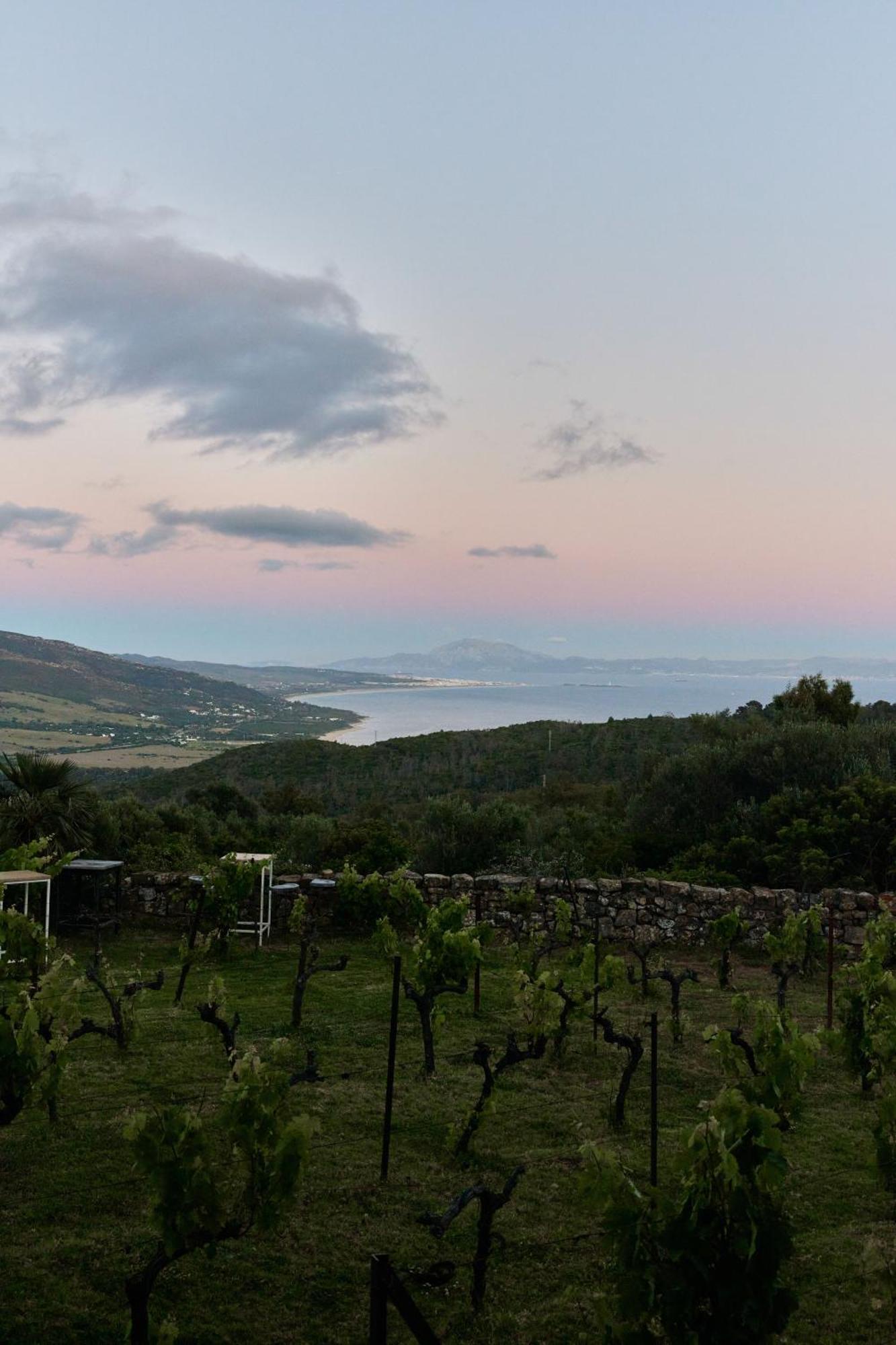 Taiga Tarifa Punta Paloma Otel Dış mekan fotoğraf